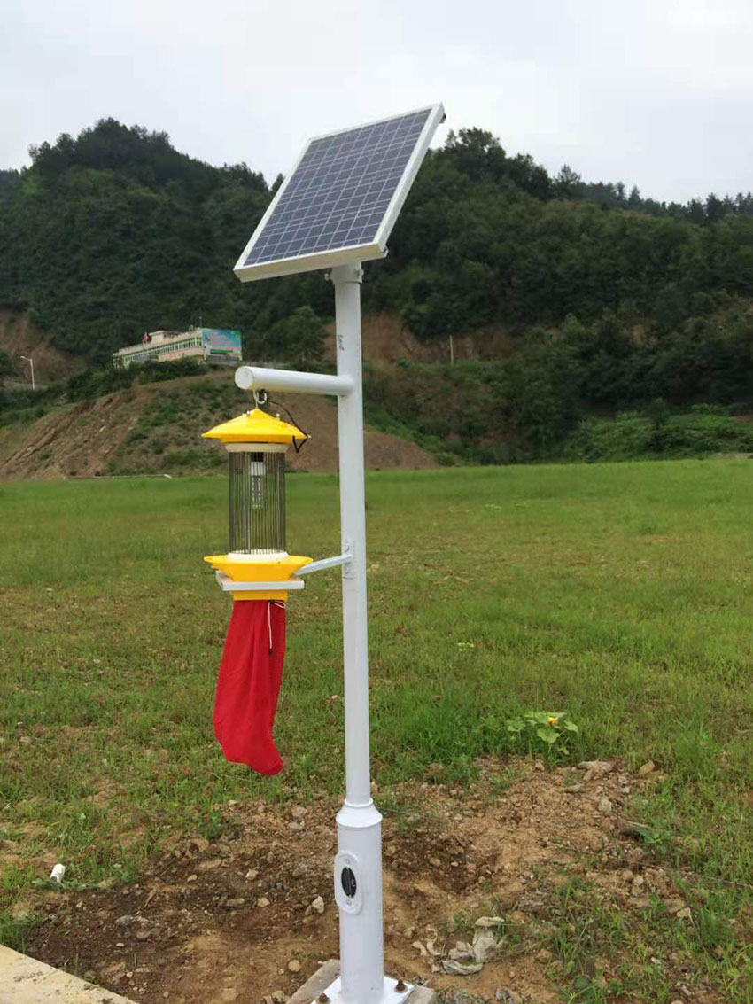 殺蟲燈LRSCD003(路之光)